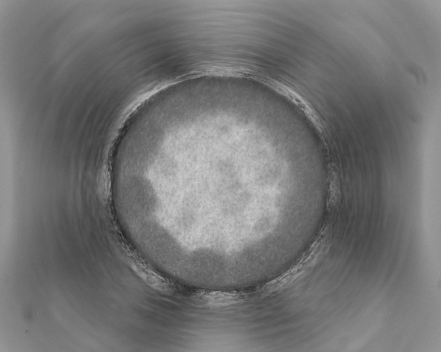 X0000111381027200908211335