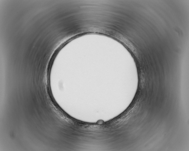 X0000111381028200908211335