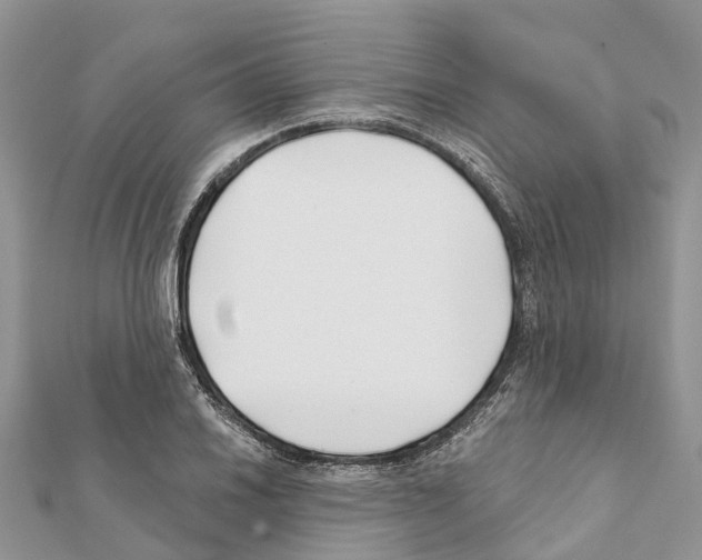 X0000111381030200908211335