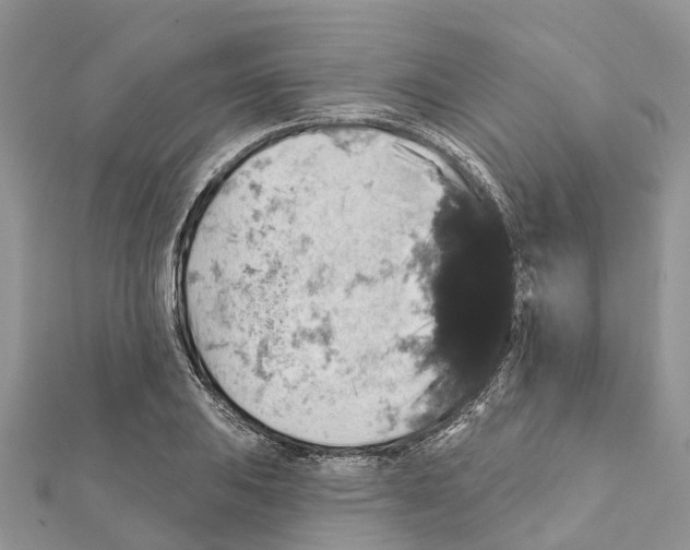 X0000111381031200908211335