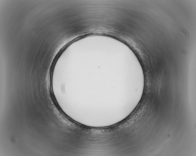 X0000111381032200908211335