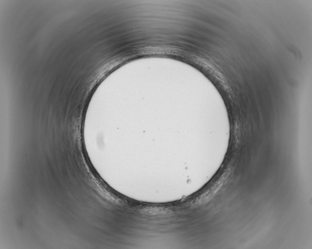 X0000111381033200908211335