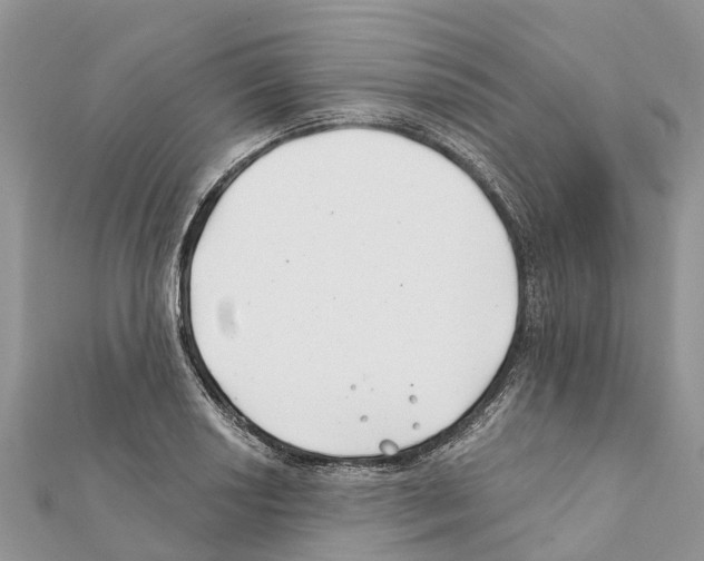 X0000111381034200908211335