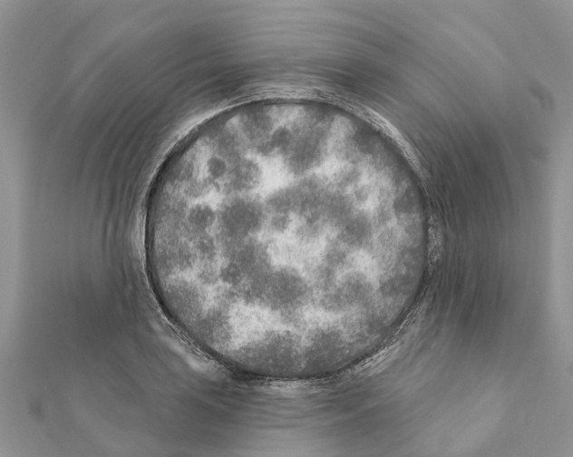 X0000111381035200908211335