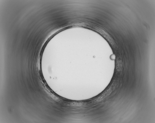 X0000111381036200908211335