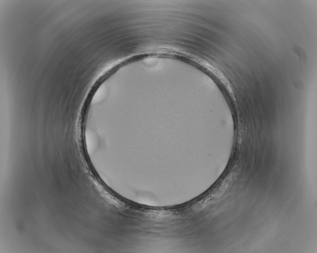 X0000111381037200908211335