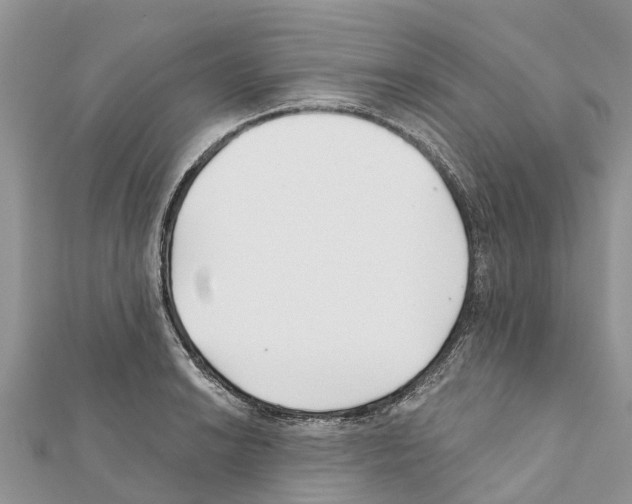 X0000111381038200908211335