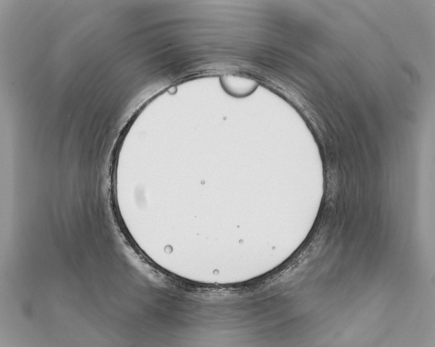 X0000111381042200908211336