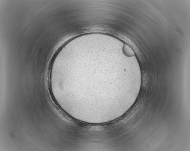 X0000111381043200908211336