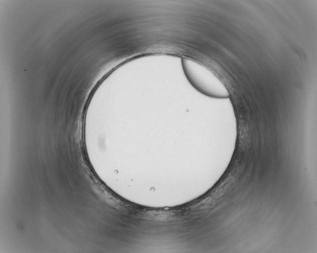 X0000111381044200908211336