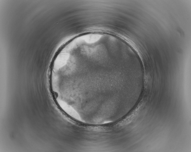 X0000111381045200908211336