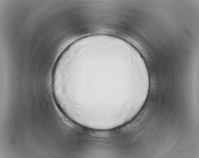 X0000111381047200908211336