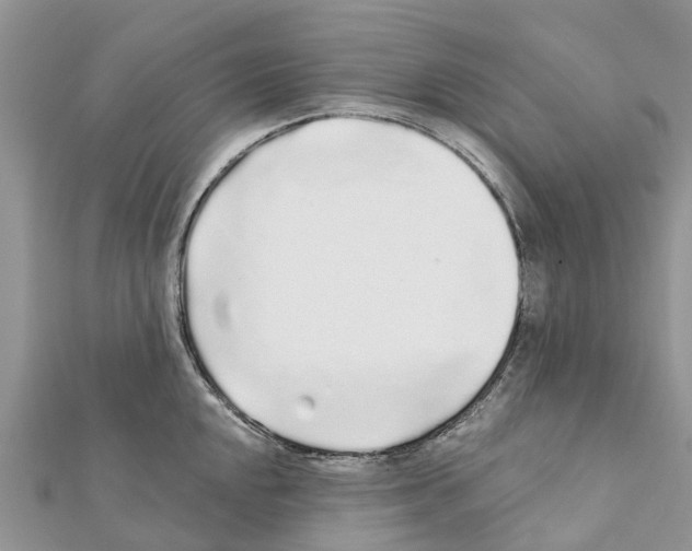 X0000111381048200908211336