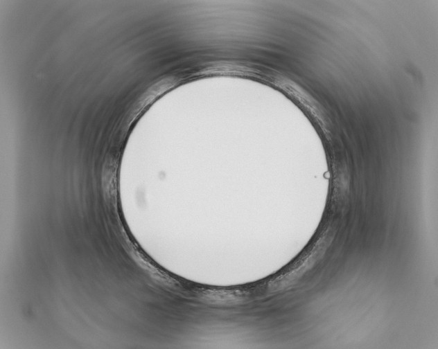 X0000111381049200908211336