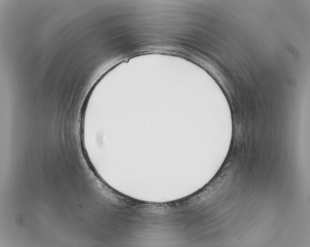 X0000111381050200908211336