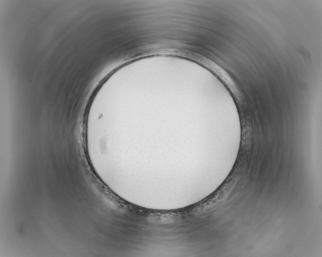 X0000111381051200908211336