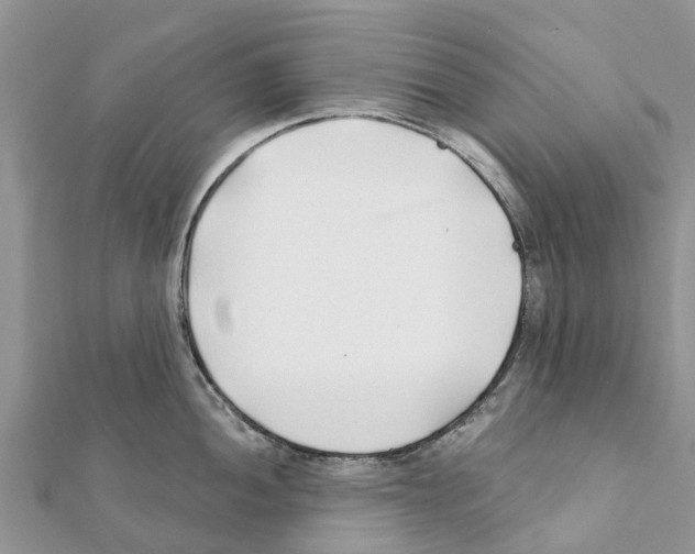 X0000111381052200908211336