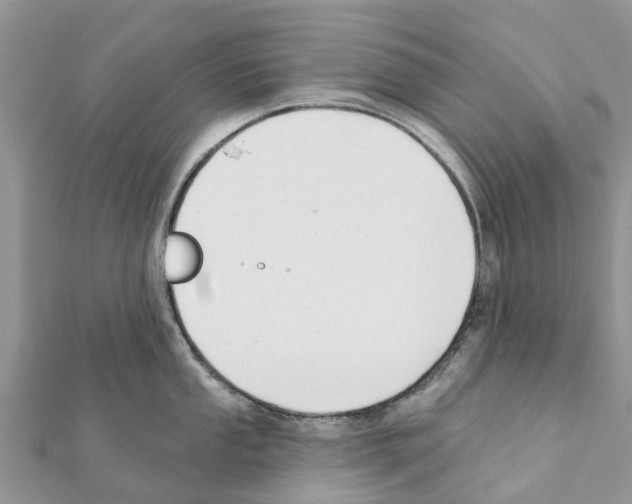 X0000111381053200908211336