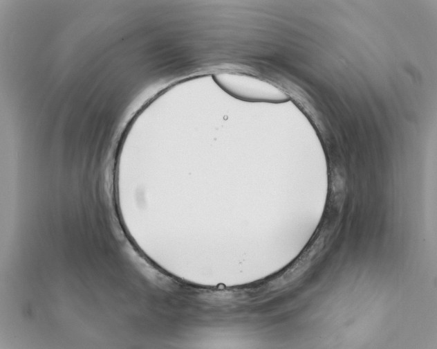 X0000111381054200908211336