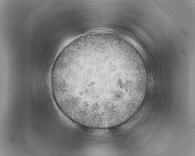 X0000111381055200908211336