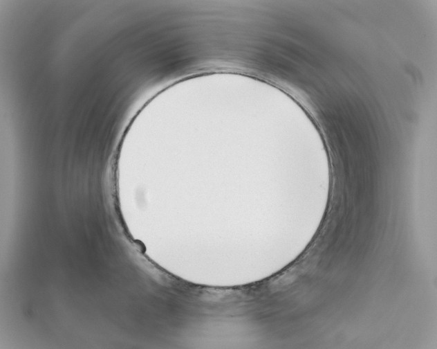 X0000111381056200908211336