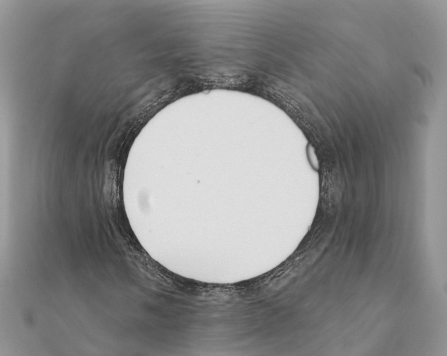 X0000111381058200908211335