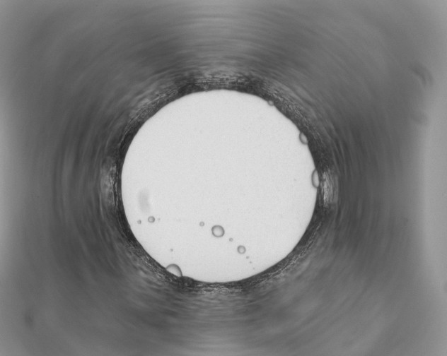 X0000111381059200908211335