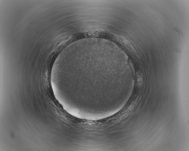 X0000111381060200908211335