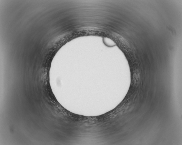 X0000111381062200908211335