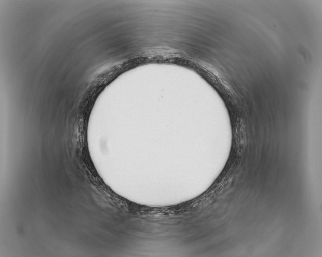 X0000111381063200908211335