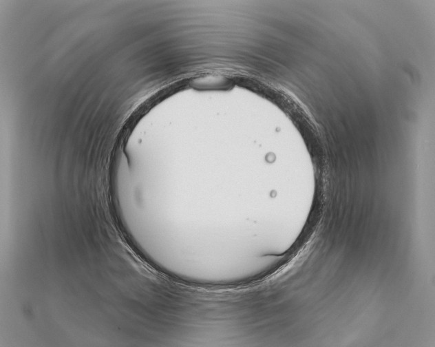 X0000111381065200908211335