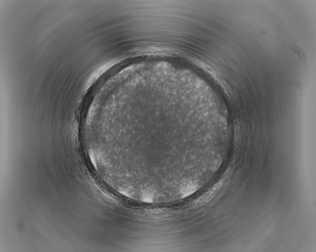 X0000111381066200908211335