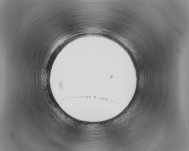 X0000111381067200908211335