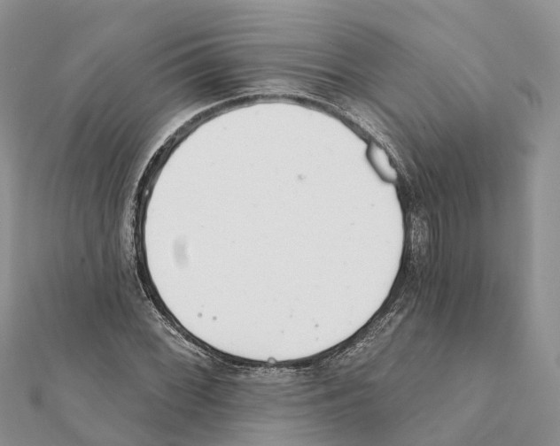 X0000111381068200908211335