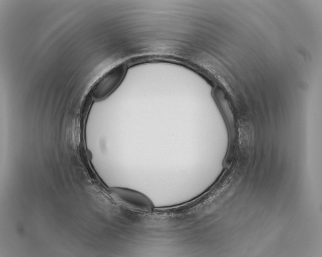 X0000111381069200908211335