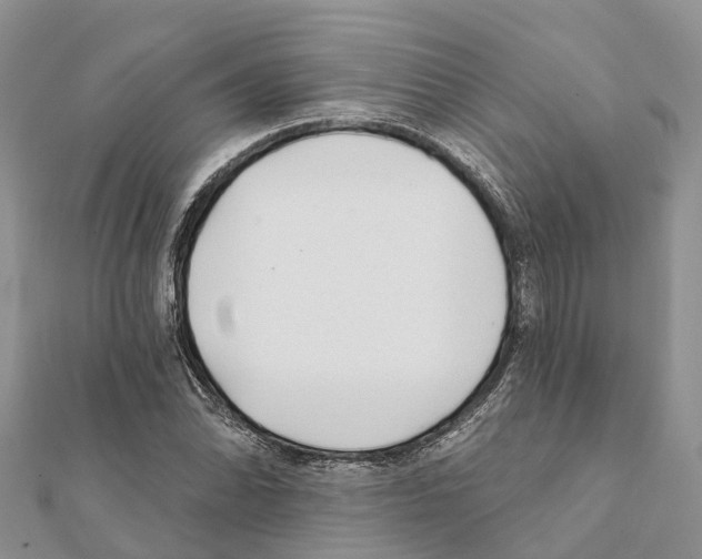 X0000111381070200908211335