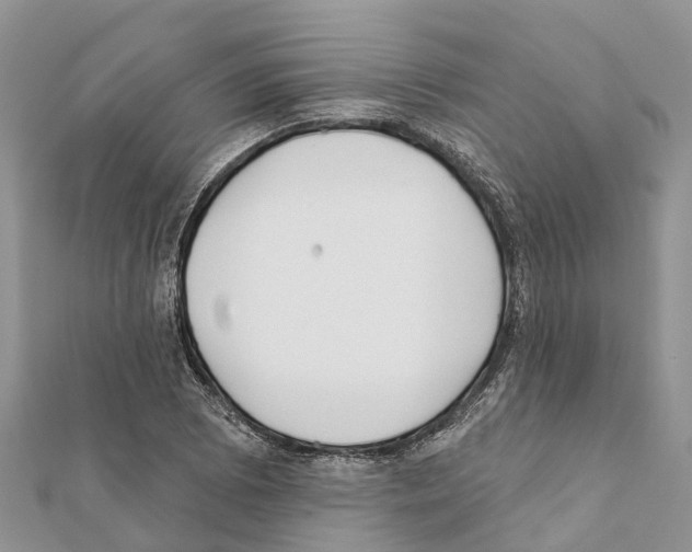 X0000111381073200908211335