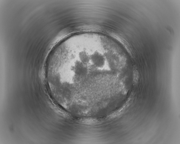 X0000111381074200908211335