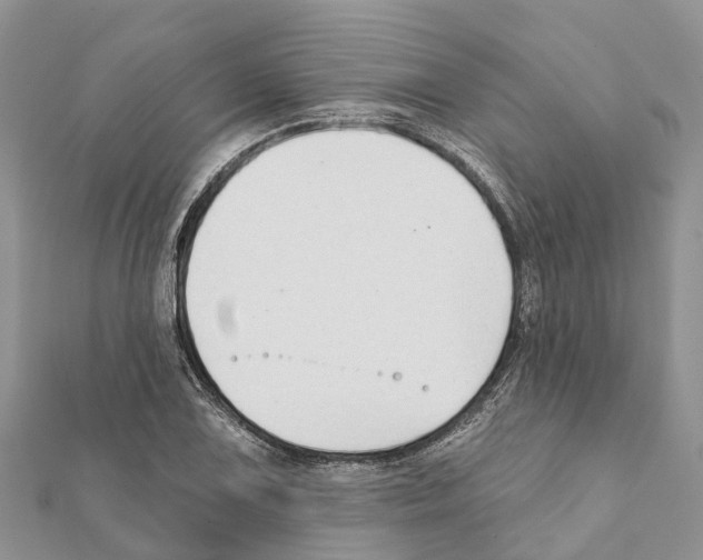 X0000111381075200908211335