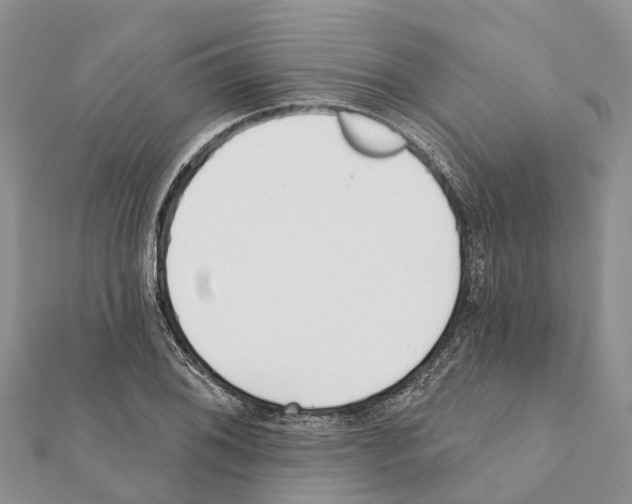 X0000111381076200908211335