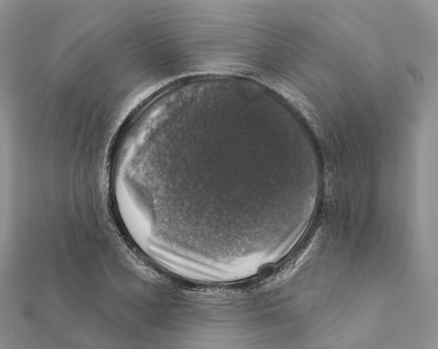 X0000111381077200908211335