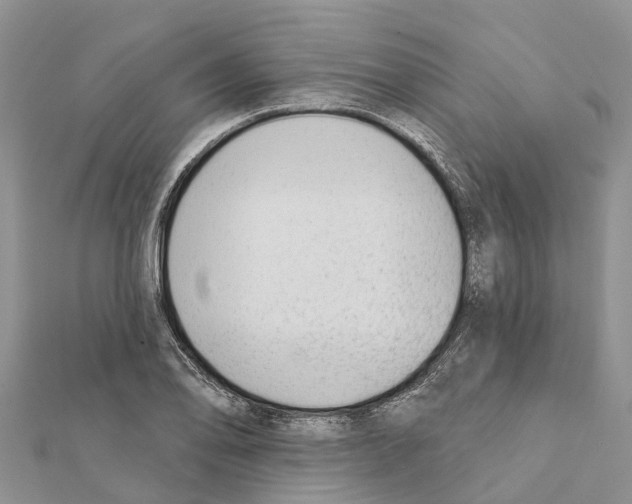 X0000111381078200908211335