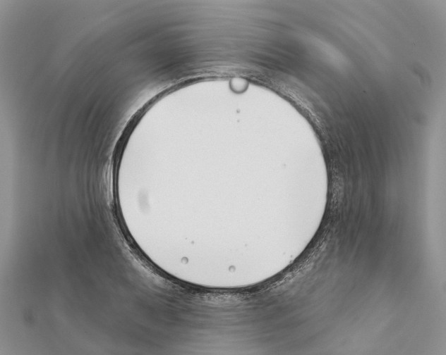 X0000111381079200908211335