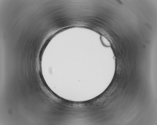 X0000111381080200908211335