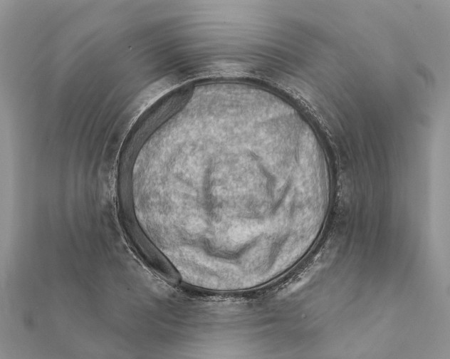 X0000111381081200908211335