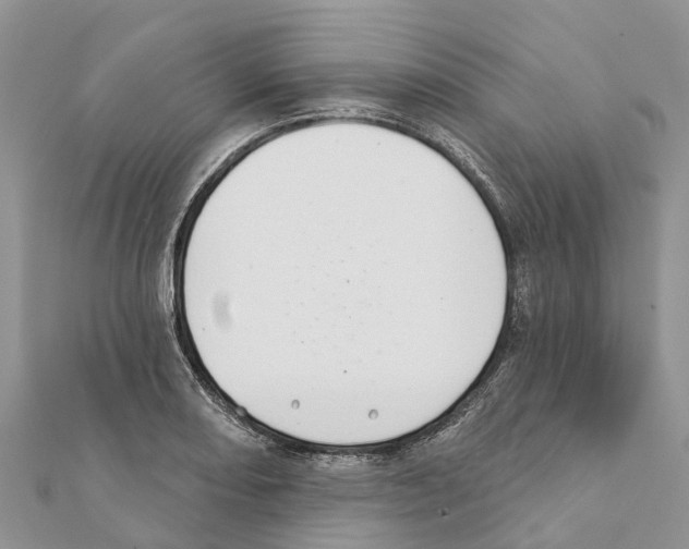 X0000111381082200908211335