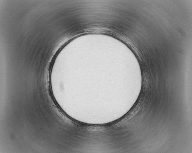 X0000111381083200908211335