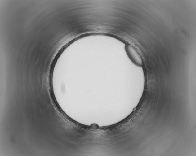 X0000111381085200908211335