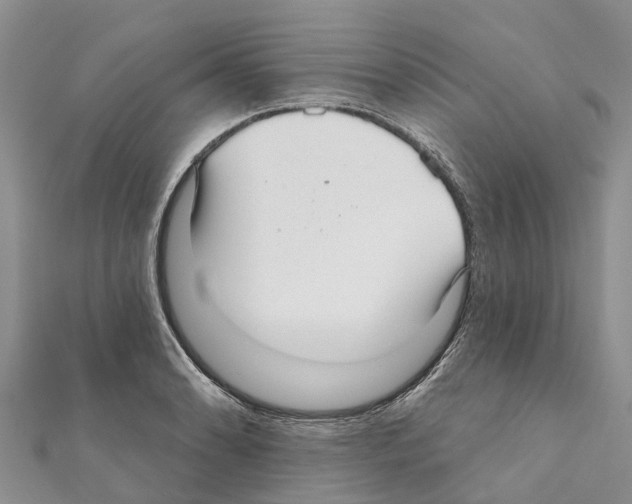 X0000111381086200908211335