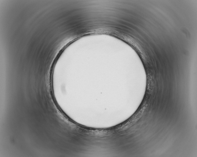 X0000111381087200908211335